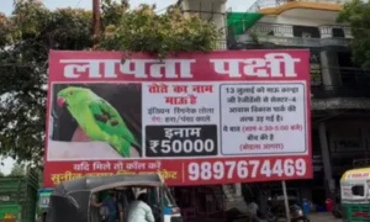 Agra News: आगरा में लापता तोता के होडिंग