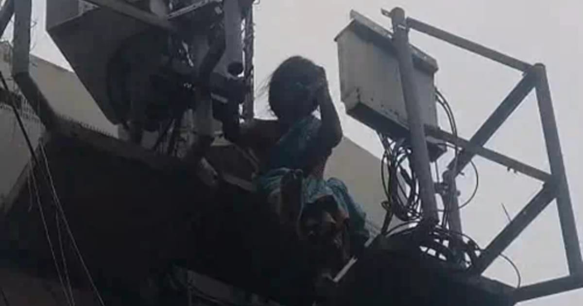 Agra News: टावर पर चढ़ी महिला